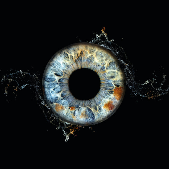 Iris-Fotoshooting für 1 Iride