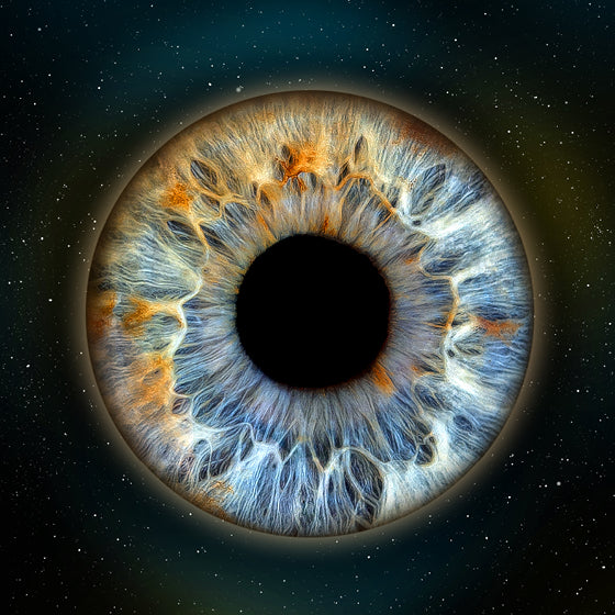 Iris-Shooting Gutschein zu Weihnachten