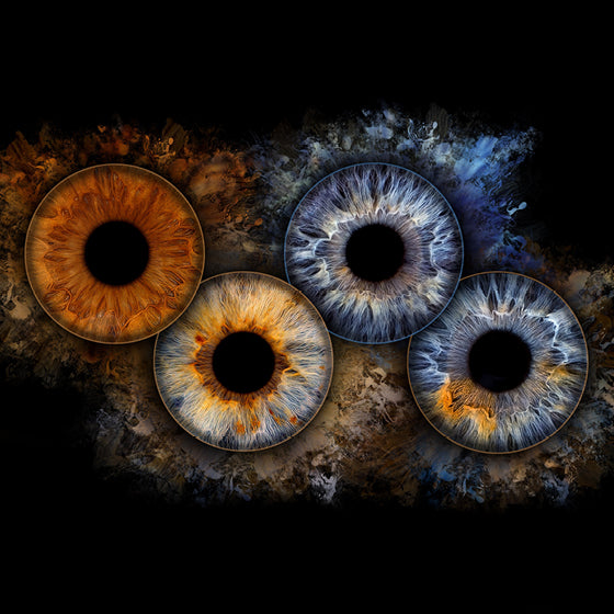 Iris-Shooting Gutschein zu Weihnachten