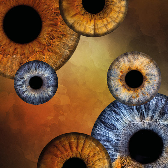 Iris-Shooting Gutschein zu Weihnachten