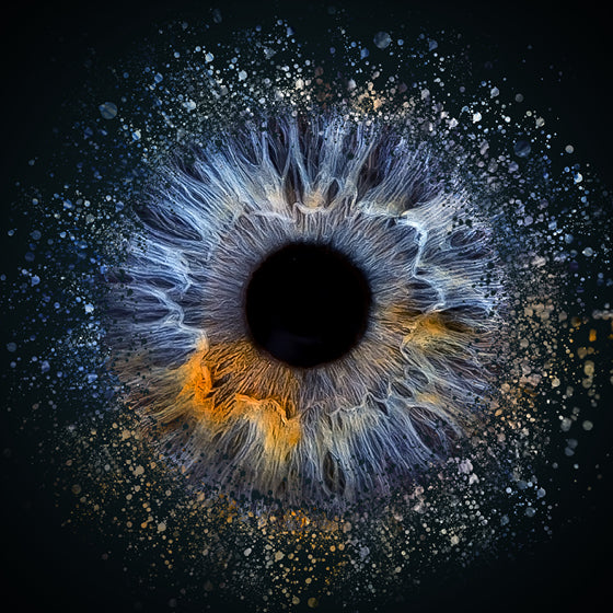 Iris-Shooting Gutschein zu Weihnachten