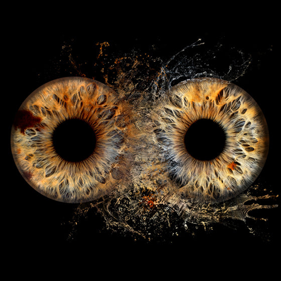 Iris-Shooting Gutschein zu Weihnachten