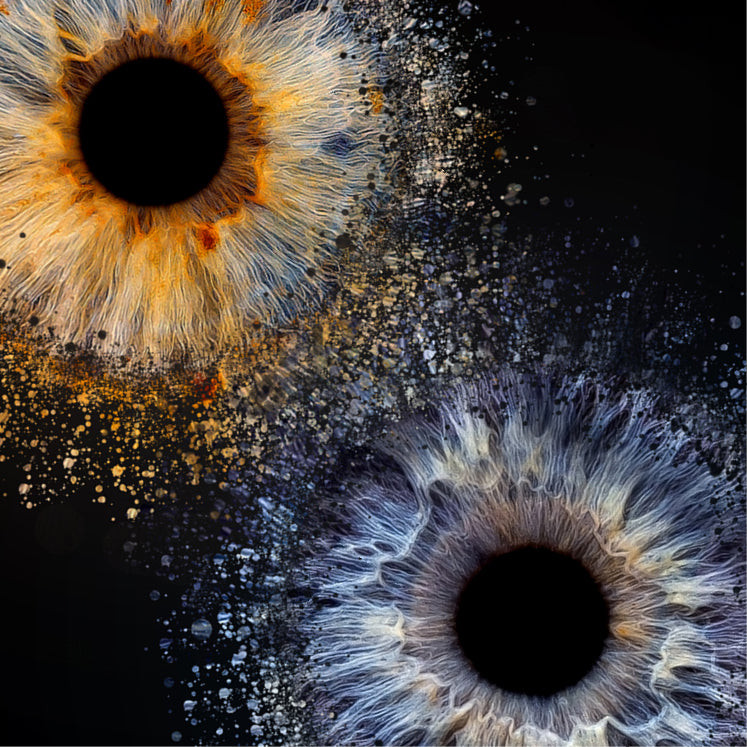 Iris-Shooting Gutschein zu Weihnachten