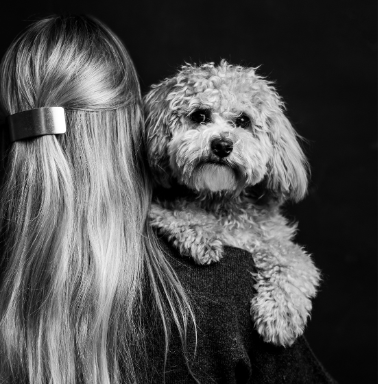 45 Minuten Tier-Fotoshooting inkl. Bilderpaket