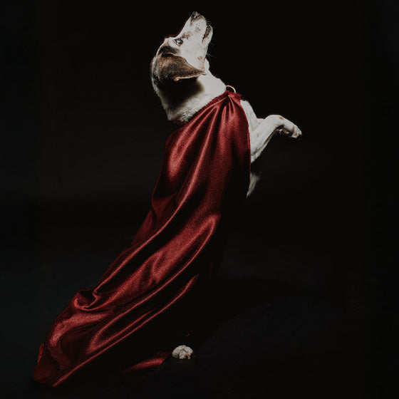 Cosplay Fotoshooting