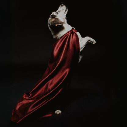 Cosplay Fotoshooting