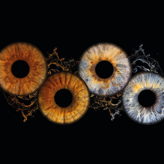 Iris-Fotoshooting für 4 Iriden mit Design