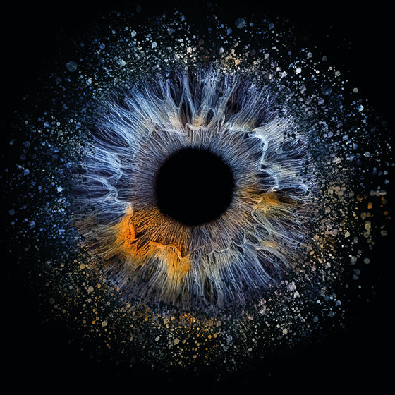 Iris-Shooting für 1 Iris