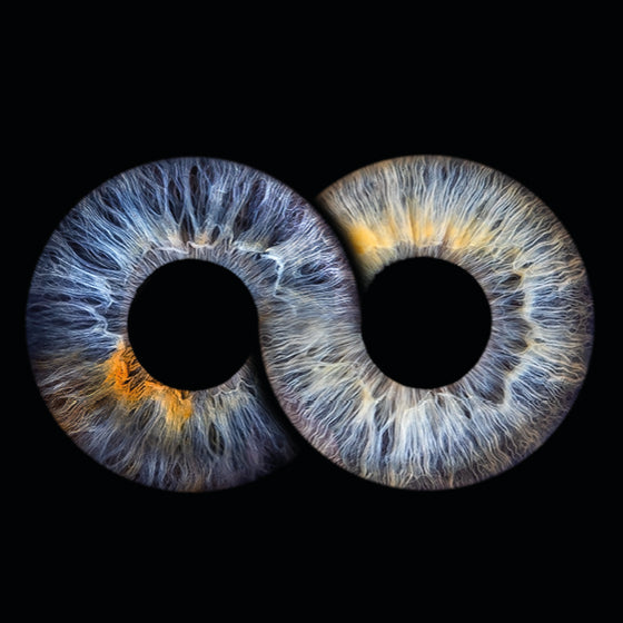 Iris-Fotoshooting für 2 Iriden mit Design