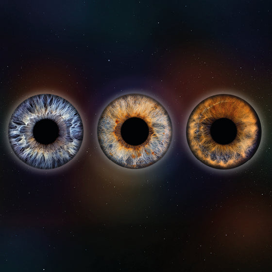 Iris-Fotoshooting für 3 Iriden mit Design