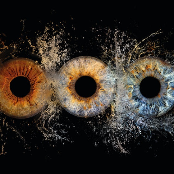 Iris-Fotoshooting für 3 Iriden mit Design