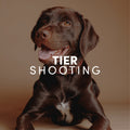 90 Minuten Tier Fotoshooting Erlebnis inkl. 2-4 Bilder