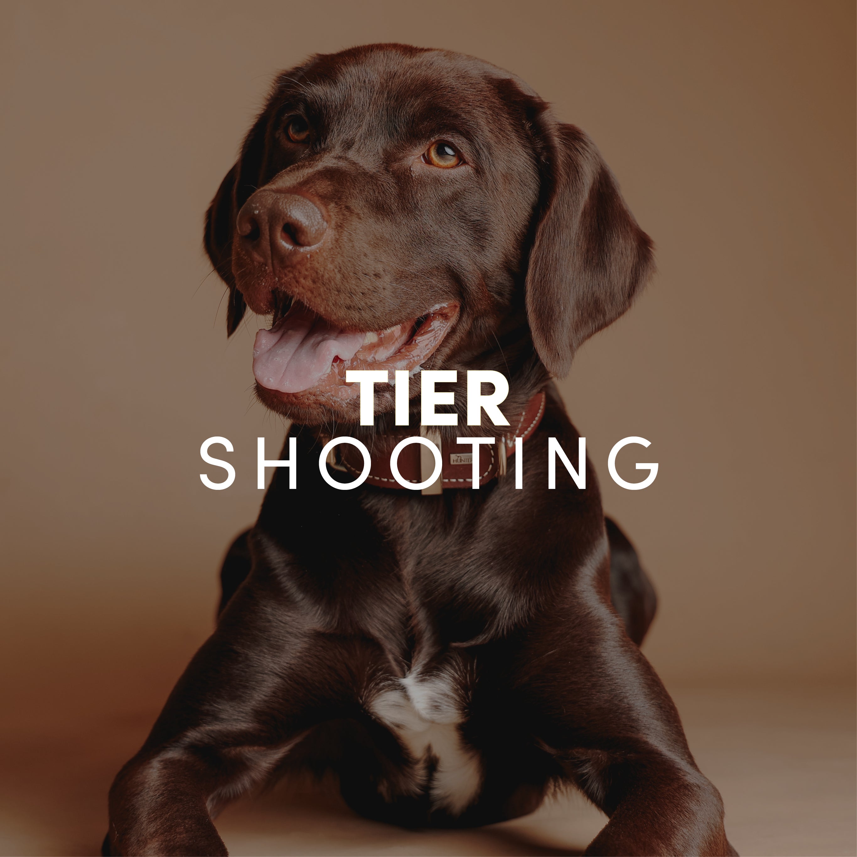 45 Minuten Tier-Fotoshooting inkl. Bilderpaket