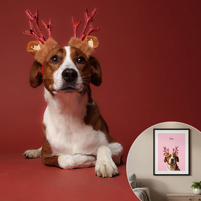 Haustier Fotoshooting Erlebnis inkl. personalisiertem Haustierportrait