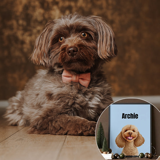 Haustier Fotoshooting Erlebnis inkl. personalisiertem Haustierportrait