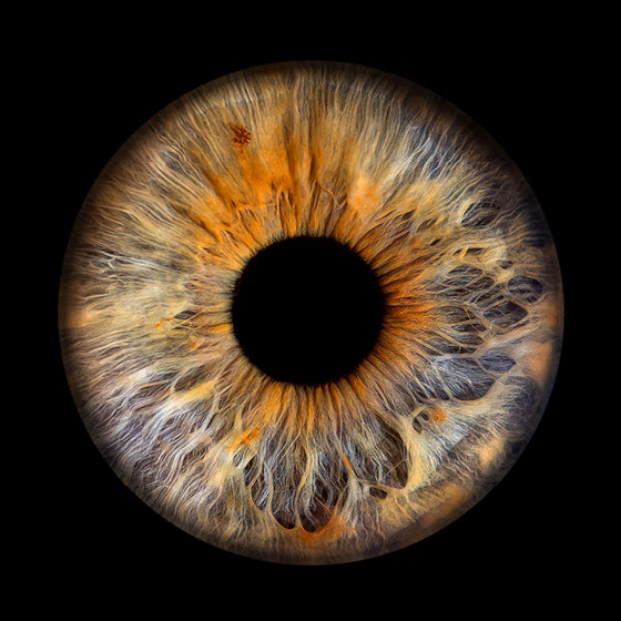 Gutschein | Iris-Shooting inkl. digitaler Dateien