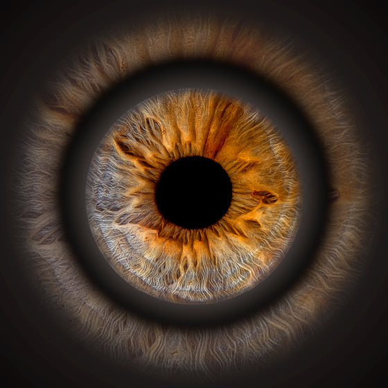 Gutschein | Iris-Shooting inkl. digitaler Dateien