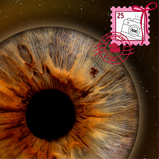 Iris-Shooting Gutschein zu Weihnachten